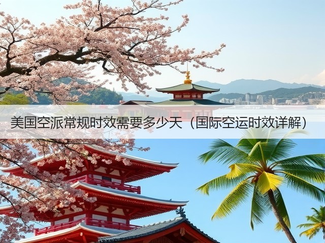 美国空派常规时效需要多少天（国际空运时效详解）(图2)