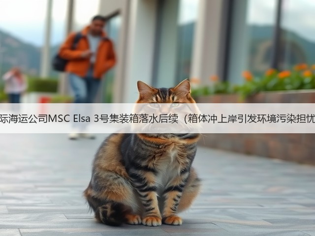 国际海运公司MSC Elsa 3号集装箱落水后续（箱体冲上岸引发环境污染担忧）(图1)