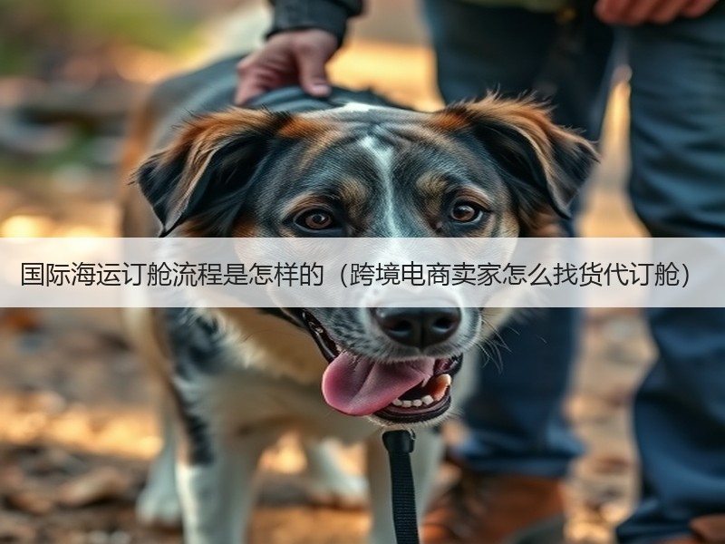 国际海运订舱流程是怎样的（跨境电商卖家怎么找货代订舱）
