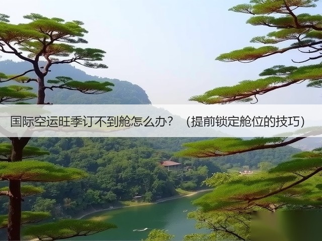 国际空运旺季订不到舱怎么办?(提前锁定舱位的技巧)(图1) 国际空运旺季订不到舱怎么办?(提前锁定舱位的技巧)(图1)