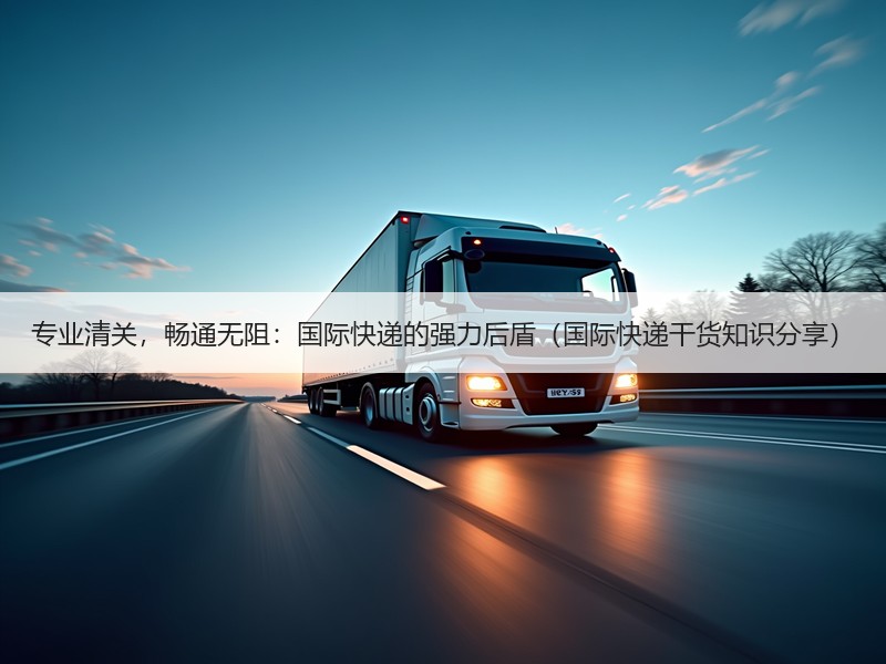 专业清关,畅通无阻:国际快递的强力后盾(国际快递干货知识分享) 专业清关,畅通无阻:国际快递的强力后盾(国际快递干货知识分享)