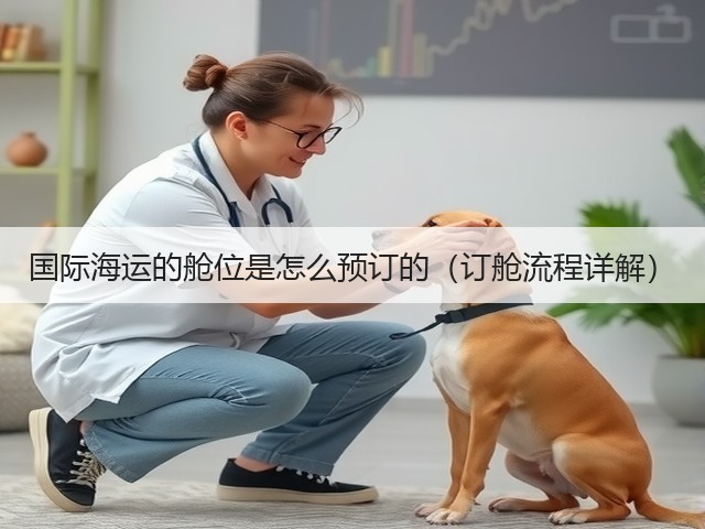 国际海运的舱位是怎么预订的(订舱流程详解)(图2) 国际海运的舱位是怎么预订的(订舱流程详解)(图2)