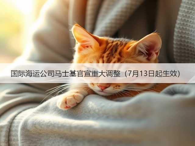 国际海运公司马士基官宣重大调整(7月13日起生效)(图1) 国际海运公司马士基官宣重大调整(7月13日起生效)(图1)