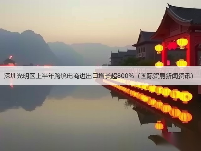 深圳光明区上半年跨境电商进出口增长超800%(国际贸易新闻资讯)(图2) 深圳光明区上半年跨境电商进出口增长超800%(国际贸易新闻资讯)(图2)