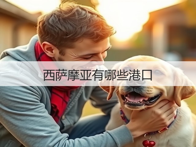 西萨摩亚有哪些港口(图2) 西萨摩亚有哪些港口(图2)
