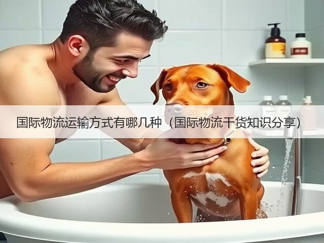 国际物流运输方式有哪几种(国际物流干货知识分享)(图1) 国际物流运输方式有哪几种(国际物流干货知识分享)(图1)