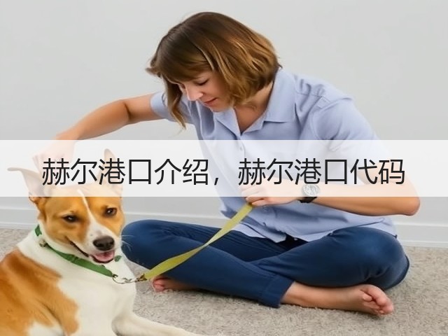 赫尔港口介绍,赫尔港口代码(图3) 赫尔港口介绍,赫尔港口代码(图3)