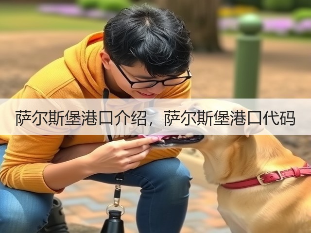 萨尔斯堡港口介绍,萨尔斯堡港口代码(图2) 萨尔斯堡港口介绍,萨尔斯堡港口代码(图2)