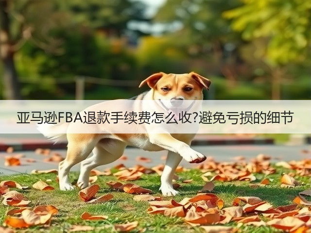 亚马逊FBA退款手续费怎么收?避免亏损的细节(图2) 亚马逊FBA退款手续费怎么收?避免亏损的细节(图2)