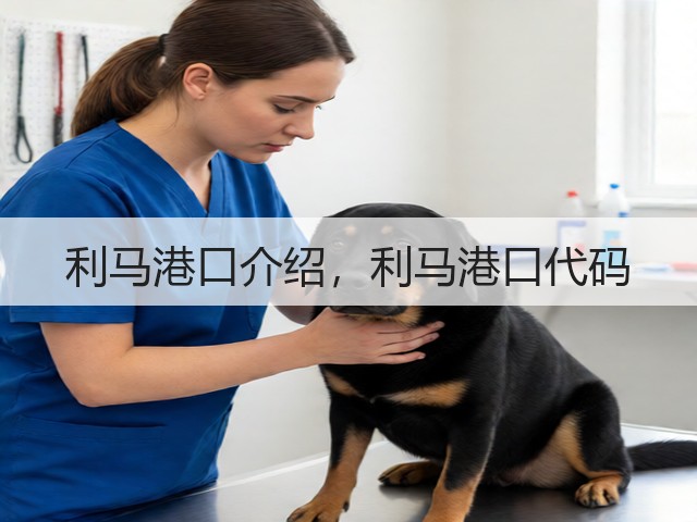 利马港口介绍,利马港口代码(图1) 利马港口介绍,利马港口代码(图1)