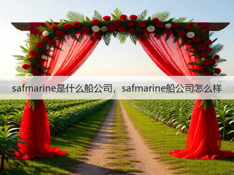 safmarine是什么船公司,safmarine船公司怎么样 safmarine是什么船公司,safmarine船公司怎么样