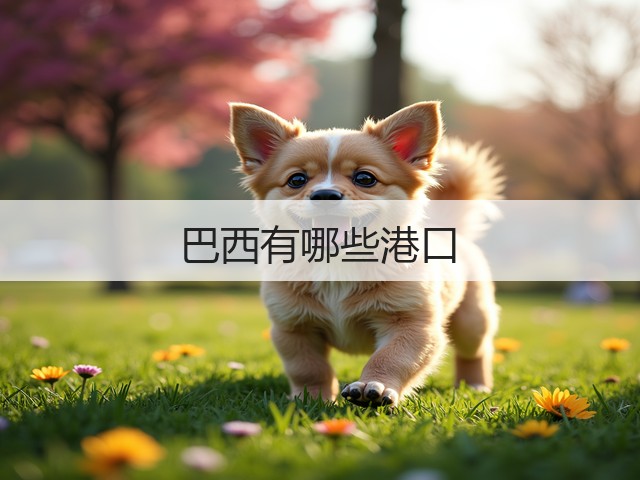巴西有哪些港口(图2) 巴西有哪些港口(图2)