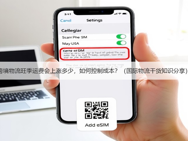 跨境物流旺季运费会上涨多少，如何控制成本？（国际物流干货知识分享）(图2)