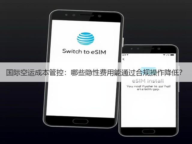 国际空运成本管控:哪些隐性费用能通过合规操作降低?(图2) 国际空运成本管控:哪些隐性费用能通过合规操作降低?(图2)