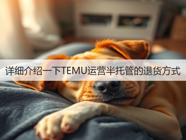 详细介绍一下TEMU运营半托管的退货方式(图2) 详细介绍一下TEMU运营半托管的退货方式(图2)