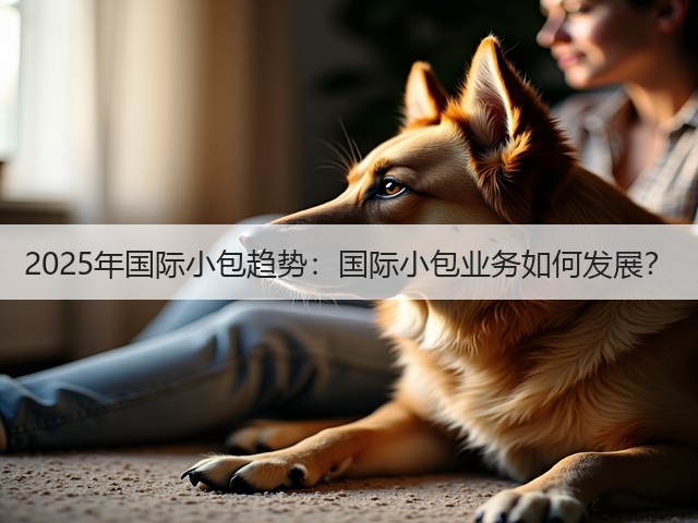 2025年国际小包趋势:国际小包业务如何发展?(图2) 2025年国际小包趋势:国际小包业务如何发展?(图2)