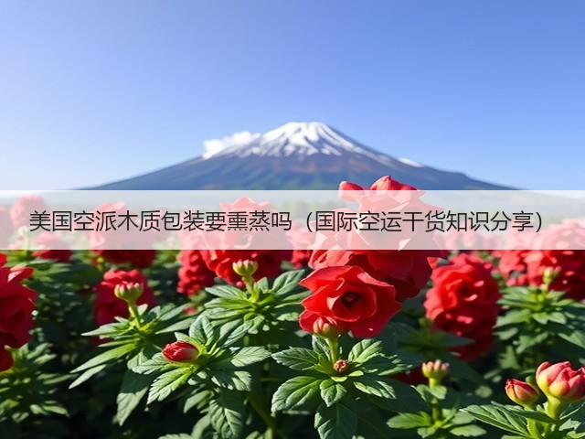 美国空派木质包装要熏蒸吗(国际空运干货知识分享)(图2) 美国空派木质包装要熏蒸吗(国际空运干货知识分享)(图2)