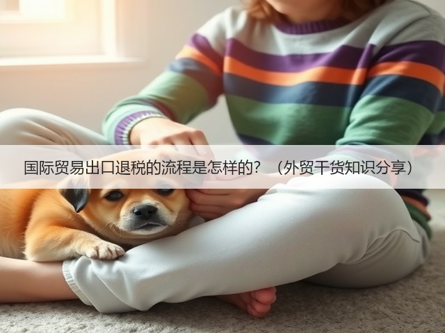 国际贸易出口退税的流程是怎样的?(外贸干货知识分享)(图2) 国际贸易出口退税的流程是怎样的?(外贸干货知识分享)(图2)