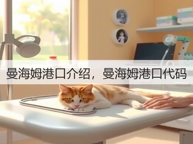 曼海姆港口介绍,曼海姆港口代码(图1) 曼海姆港口介绍,曼海姆港口代码(图1)