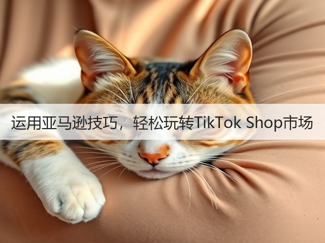 运用亚马逊技巧,轻松玩转TikTok Shop市场(图3) 运用亚马逊技巧,轻松玩转TikTok Shop市场(图3)