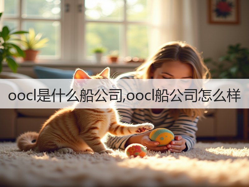 oocl是什么船公司,oocl船公司怎么样