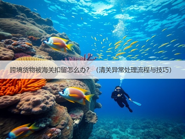 跨境货物被海关扣留怎么办?(清关异常处理流程与技巧)(图1) 跨境货物被海关扣留怎么办?(清关异常处理流程与技巧)(图1)