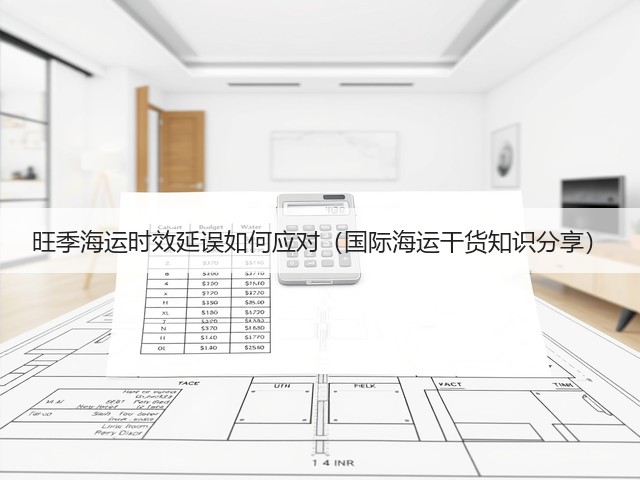 旺季海运时效延误如何应对(国际海运干货知识分享)(图2) 旺季海运时效延误如何应对(国际海运干货知识分享)(图2)