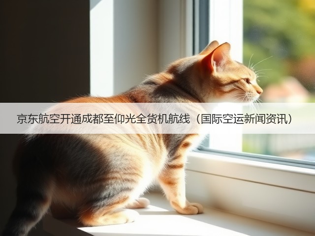 京东航空开通成都至仰光全货机航线(国际空运新闻资讯)(图1) 京东航空开通成都至仰光全货机航线(国际空运新闻资讯)(图1)