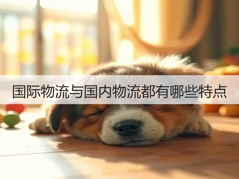 国际物流与国内物流都有哪些特点 国际物流与国内物流都有哪些特点