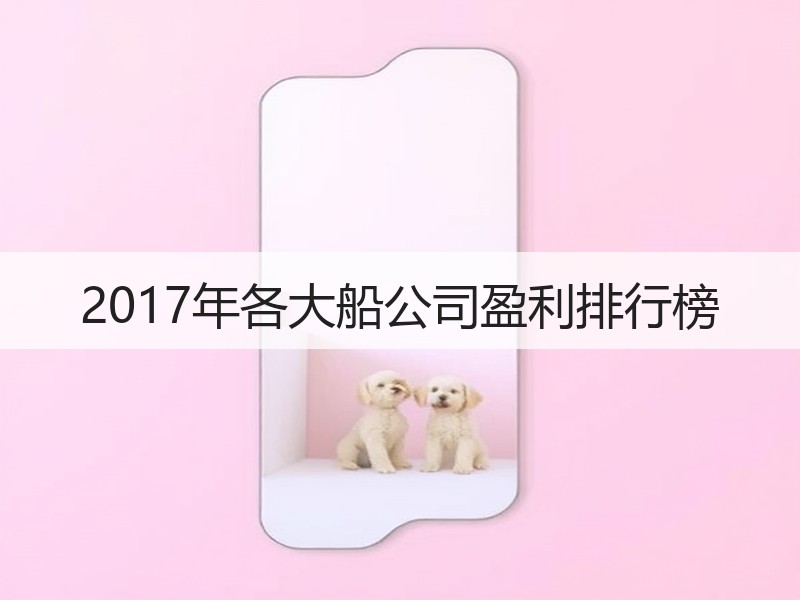 2017年各大船公司盈利排行榜 2017年各大船公司盈利排行榜