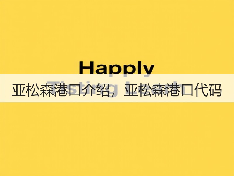 亚松森港口介绍，亚松森港口代码