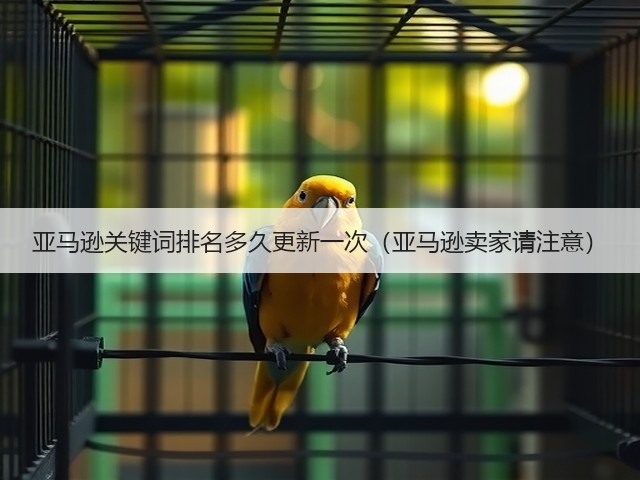 亚马逊关键词排名多久更新一次(亚马逊卖家请注意)(图1) 亚马逊关键词排名多久更新一次(亚马逊卖家请注意)(图1)