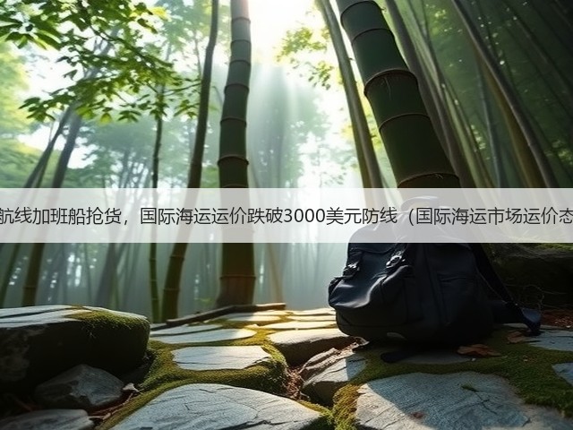 美西航线加班船抢货,国际海运运价跌破3000美元防线(国际海运市场运价态势)(图2) 美西航线加班船抢货,国际海运运价跌破3000美元防线(国际海运市场运价态势)(图2)