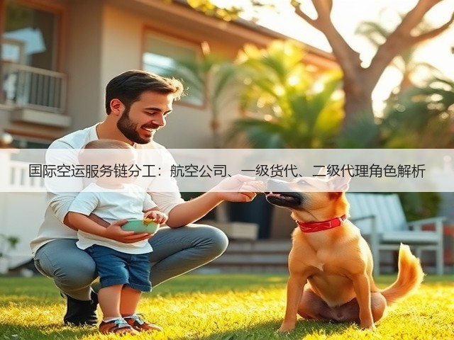 国际空运服务链分工：航空公司、一级货代、二级代理角色解析(图2)
