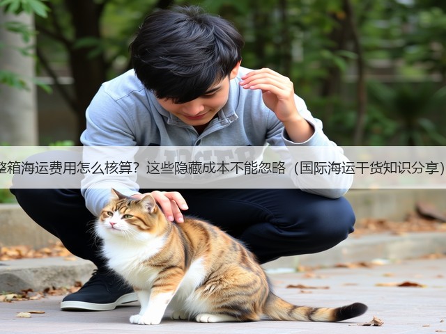 整箱海运费用怎么核算?这些隐藏成本不能忽略(国际海运干货知识分享)(图1) 整箱海运费用怎么核算?这些隐藏成本不能忽略(国际海运干货知识分享)(图1)