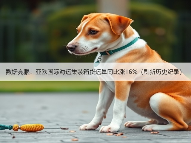 数据亮眼！亚欧国际海运集装箱货运量同比涨16%（刷新历史纪录）(图2)