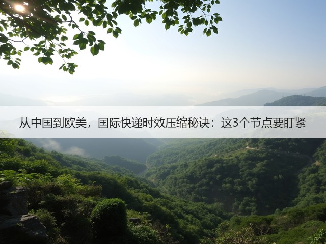 从中国到欧美,国际快递时效压缩秘诀:这3个节点要盯紧(图2) 从中国到欧美,国际快递时效压缩秘诀:这3个节点要盯紧(图2)