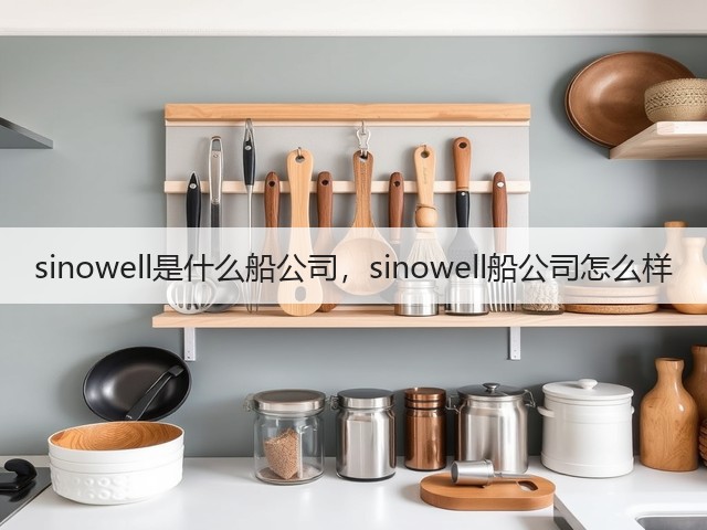 sinowell是什么船公司，sinowell船公司怎么样(图2)