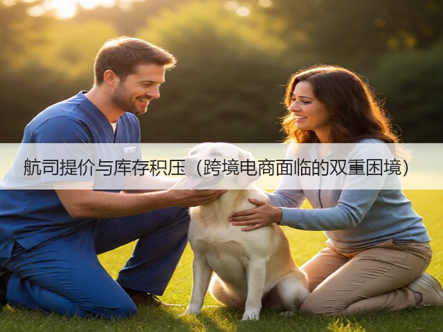 航司提价与库存积压(跨境电商面临的双重困境)(图2) 航司提价与库存积压(跨境电商面临的双重困境)(图2)