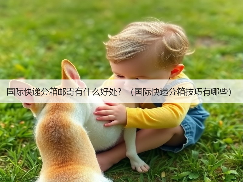 国际快递分箱邮寄有什么好处？（国际快递分箱技巧有哪些）