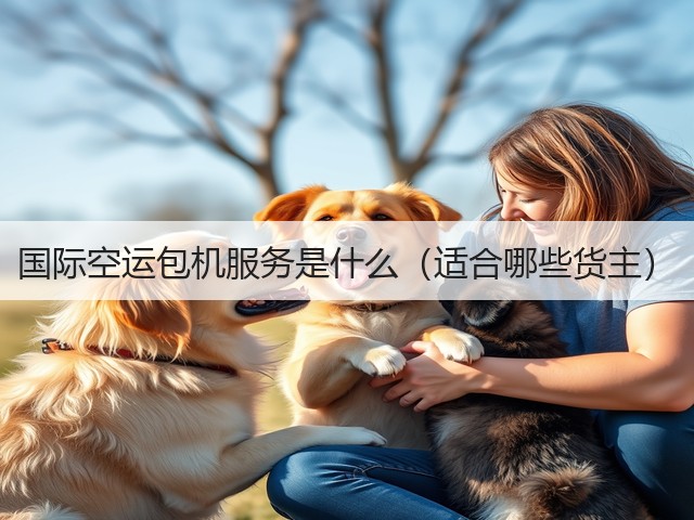 国际空运包机服务是什么(适合哪些货主)(图2) 国际空运包机服务是什么(适合哪些货主)(图2)