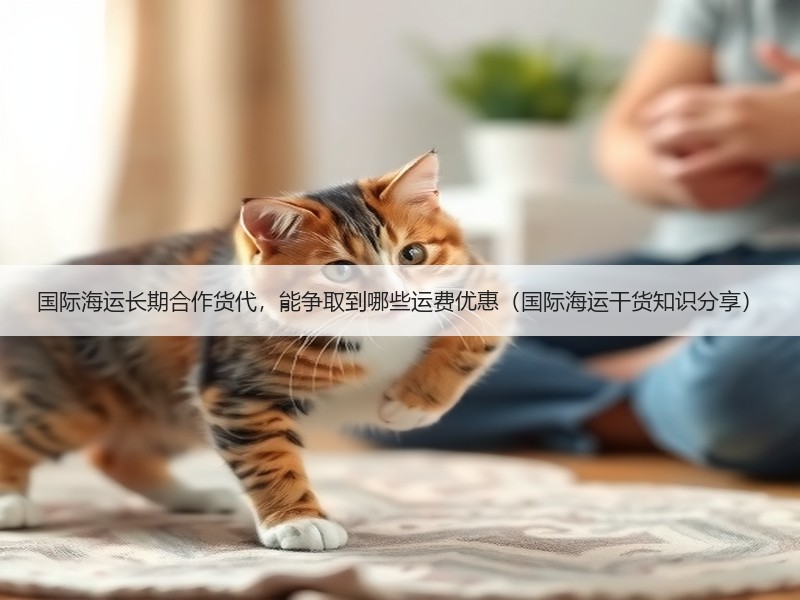 国际海运长期合作货代，能争取到哪些运费优惠（国际海运干货知识分享）