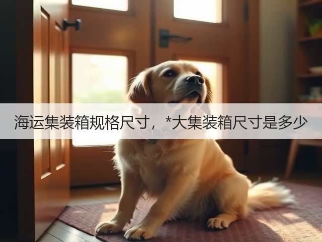 海运集装箱规格尺寸,*大集装箱尺寸是多少(图1) 海运集装箱规格尺寸,*大集装箱尺寸是多少(图1)