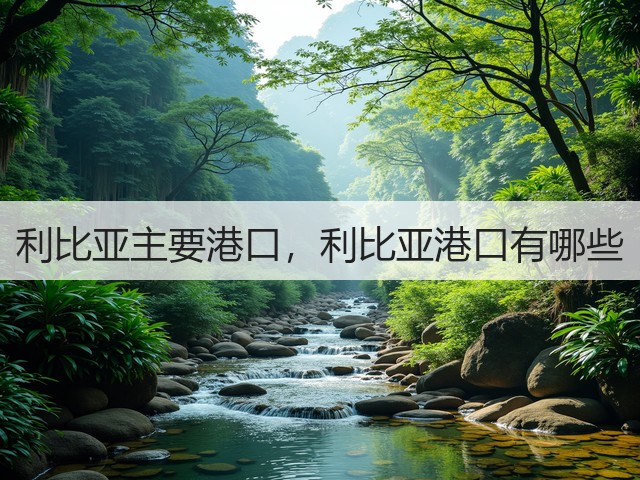 利比亚主要港口,利比亚港口有哪些(图3) 利比亚主要港口,利比亚港口有哪些(图3)