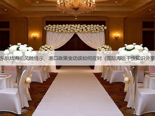 中东航线海运风险提示,港口政策变动该如何应对(国际海运干货知识分享)(图1) 中东航线海运风险提示,港口政策变动该如何应对(国际海运干货知识分享)(图1)