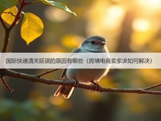 国际快递清关延误的原因有哪些（跨境电商卖家该如何解决）(图1)