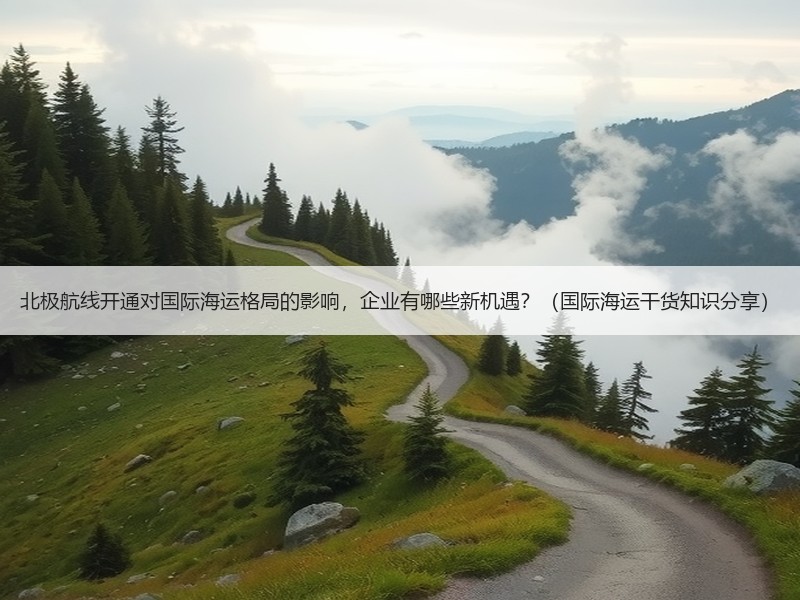 北极航线开通对国际海运格局的影响,企业有哪些新机遇?(国际海运干货知识分享) 北极航线开通对国际海运格局的影响,企业有哪些新机遇?(国际海运干货知识分享)