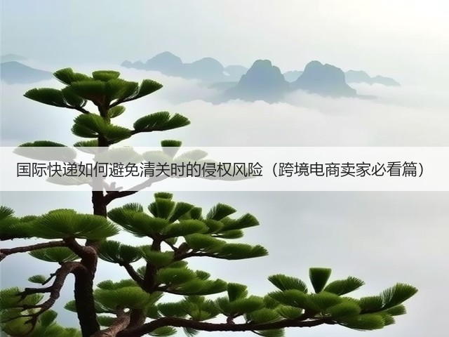 国际快递如何避免清关时的侵权风险(跨境电商卖家必看篇)(图2) 国际快递如何避免清关时的侵权风险(跨境电商卖家必看篇)(图2)