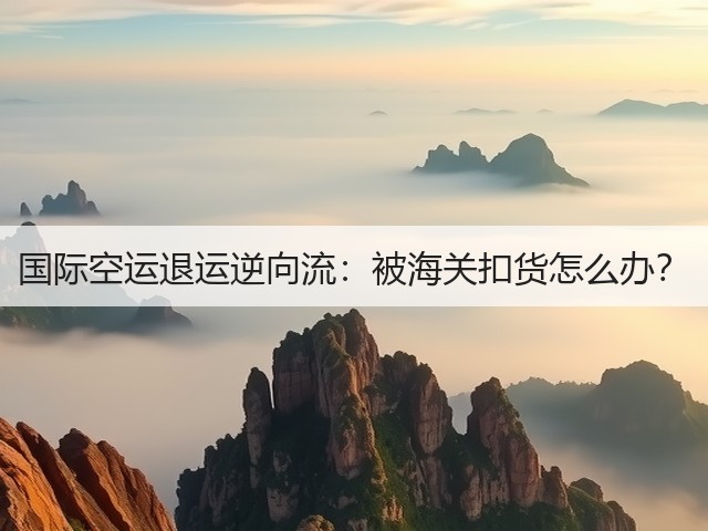 国际空运退运逆向流:被海关扣货怎么办?(图2) 国际空运退运逆向流:被海关扣货怎么办?(图2)