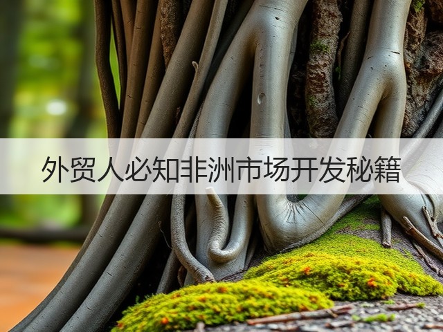 外贸人必知非洲市场开发秘籍(图2) 外贸人必知非洲市场开发秘籍(图2)